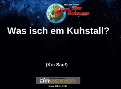 2017-8-3 Gute Frog