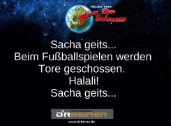 2018-4-23 Sacha 10